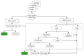 remote sensing free full text an object based paddy rice