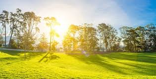 Un vol sans escale de paris à san francisco dure environ 11h40. Our Flights French Bee