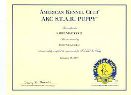 May 06, 2021 · if you are in the market for a puppy, do not look for one at a pet store—pet store puppies usually come from puppy mills that keep puppies in deplorable conditions. About Us Canine Congeniality