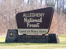 Jerk tofu part of authentic caribbean menu at 2 sisters 2 sons in sharpsburg 5 things to do in westmoreland county: Camping In The Allegheny National Forest Andy Arthur Org