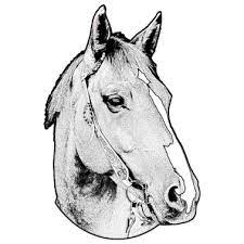 Paardenkop knutselen / kartonnen luipaarden dieren masker voor kinderen | dieren. Paardenkop Knutselen Stokpaard Maken Gratis Naaipatroon Stoffen Net Ook De Koning Van Het Dierenrijk Vind Je Een Paar Keer Tussen Deze Koningsdag Knutsels Lubang Ilmu