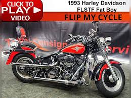 Image result for Bright Wineberry 1993 FXSTS