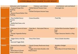 4 week vegan soup cleanse to lose weight