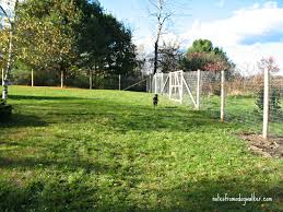 If you are looking replace your thirsty grass lawn with something that is drought tolerant, pet friendly, super hardy, low maintenance, and you don't have. Peace In The Yard 7 Ways To Dog Proof Your Fence Notes From A Dog Walker