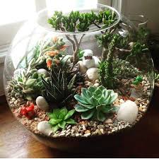 80 Best Succulent Garden Ideas For You Garden Succulent Garden Indoor Succulent Garden Design Diy Succulent Terrarium