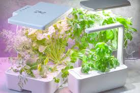 Best herb grow light discount