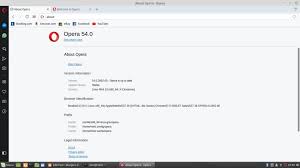 Share files instantly between your desktop and mobile browsers and experience web 3.0 with a free cryptowallet. Linux Mint Tutorial How To Install Opera 54 On Linux Mint 19