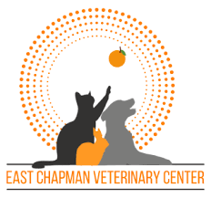 The entire staff and all of the veterinarians at the whole pet veterinary center are kind, compassionate, professional and extremely knowledgeable. Home East Chapman Veterinary Center