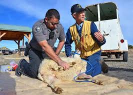 March Officer of the Month