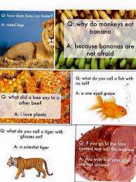 Jokes Made By Children I D Like To Introduce One Passed Through The Family Why Is There A Horse Because There Is A Dog Comedy Jokes Good Jokes Some Jokes