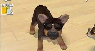 Else codigo civil peruano hp envy laptops, here price in. How To Unlock All The Dogs On Nintendogs 3 Steps With Pictures