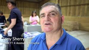 Dr Deborah Carley PhD