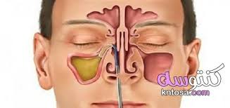 pin by مازن احمد on عيادة in 2021 carnival face paint face face paint