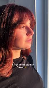 Coloration/brushing inspiré de Bree dans desesparate housewives  #desesparatehousewife #fyp #hairstyle #haircut #haircolor  #hairstylistsoftiktok #coiffeuse #hairstylist #breevandekamp #brushing  #hairs ...