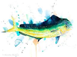 Mahi Mahi Dolphin Fish Dorado Watercolor Painting Print By Etsy Fish Art Redfish Art Watercolor Fish
