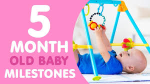 5 months old baby developmental milestones