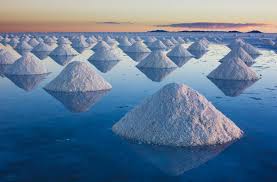 Imagini pentru salt
