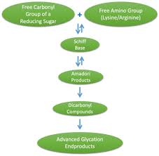 Nutrients Free Full Text Dietary Advanced Glycation End Products Digestion Metabolism And Modulation Of Gut Microbial Ecology Html