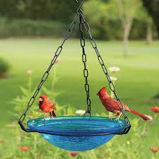 Products for every animal lover. Duncraft Com Glass Hanging Bird Bath