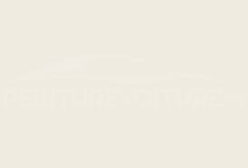 Image result for Brilliant White 1999 DAF