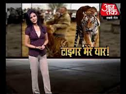 Altcoins news today, bitcoin next move, bitcoin 50000, bitcoin in hindi, bitcoin ban in india, uni, best,bitcoin latest news today Bitcoin What Is Bitcoin Latest News On Bitcoin Bitcoin Price In India