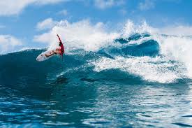 Image result for Surfing