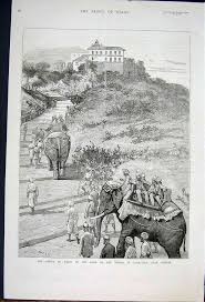 prince of wales visit to india 1875 ...