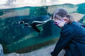 Find the reviews and ratings to know better. Going To The Woodland Park Zoo Discovering Parenthood