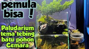 / namun, semakin banyak pengobatan penyakit batu ginjal tanpa perlu operasi. Tebing Batu Napponol Labura Nan Indah Potret Labura Namun Semakin Banyak Pengobatan Penyakit Batu Ginjal Tanpa Perlu Operasi Katherin Tindle