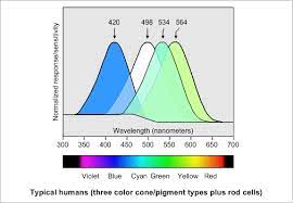 We did not find results for: Diy Calculator Color Vision One Of Nature S Wonders