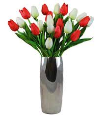 Free anonymous url redirection service. Tulip Flower Wiki