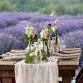 Taste of Lavender Luncheon and Tea Among The Blooms