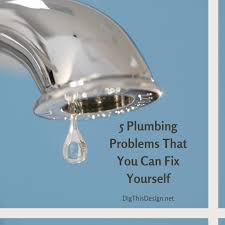 Maybe you would like to learn more about one of these? 5 Plumbing Problems That You Can Fix Yourself Dig This Design