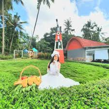 Kini berbagai perbaikan, penyempurnaan, dan. Harga Tiket Dan Lokasi Akbar Zoo Banyuwangi Travel And Word