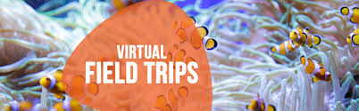 Virtual Field Trip - Ripley's Aquarium of Canada