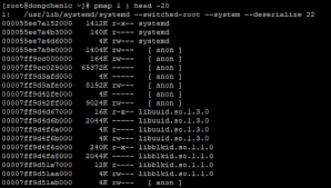 (pmap f coll) (pmap f coll & colls) like map, except f is applied in parallel. 73 Process Management Pmap And Pstree Dong A Place To Track My Time Log