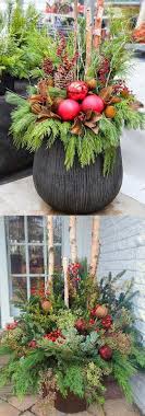 Instead of red roses or other floral arrangements, try potted christmas plants. Pin By Sam Haage On Winter Landscaping Christmas Pots Christmas Planters Outdoor Christmas Planters