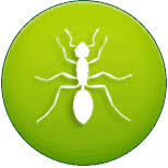 Orland park is the 597th most connected city in illinois ahead of palos park, but behind palos heights, tinley park, mokena, and oak forest. Pest Control Services In Chicago Pointe Pest Control