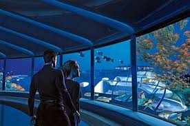 Poseidon undersea resorts is making history by designing, building, installing and operating. Poseidon Undersea Resort Fiji Most Interesting Destinations