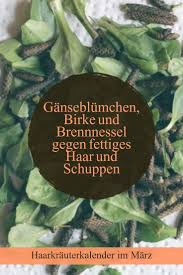 haare haarkur vegan diy handgemacht selbstgemacht handmade kosmetik haarpflege haarspulung rinse wildkraute haare pflegen fettige haare brennnessel