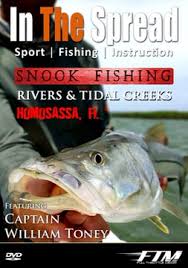Fishermen looking for snook will discover this guide very helpful. How To Catch Snook In Coastal Rivers In The Spread