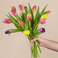 Grower of fillers, lilies & roses. Tulips Shop Tulip Bouquets Arrangements For Delivery Proflowers