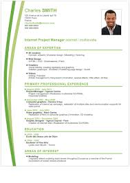 Curriculum Vitae Profesional Curriculum Vitae Cv Design Template Cv Template