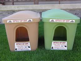 Extra Large Big Giant Jumbo Huge Cat Litter Box New Sage Or Ginger Cat Litter Box Cat Litter Huge Cat