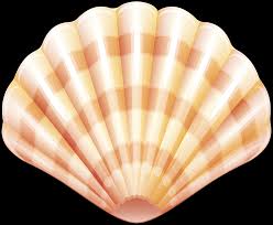 Be part of an expensive #mermay2020 #day 13: Sea Clam Shell Png Clip Art Image Gallery Yopriceville High Quality Images And Transparent Png Free Clipart