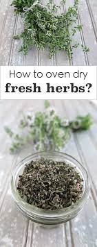 Depending on how you store them, some herbs can last up to a couple of weeks while others should should be used right away. How To Oven Dry Fresh Herbs A Squirrel In The Kitchen