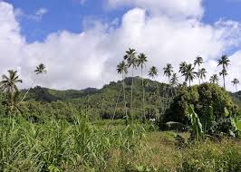 4wd Inland Tour Of The Cook Islands Audley Travel