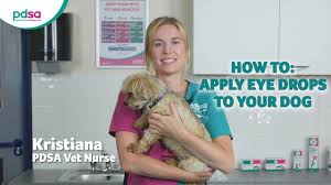 Since you are treating an area that is sensitive to dust, grim, and foreign. Dry Eye In Dogs Pdsa