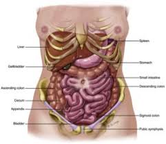 Image result for Succussion Splash