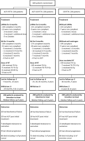 Androgen Deprivation Therapy And Radiotherapy In Intermediate Risk Prostate Cancer A Randomised Phase Iii Trial European Journal Of Cancer